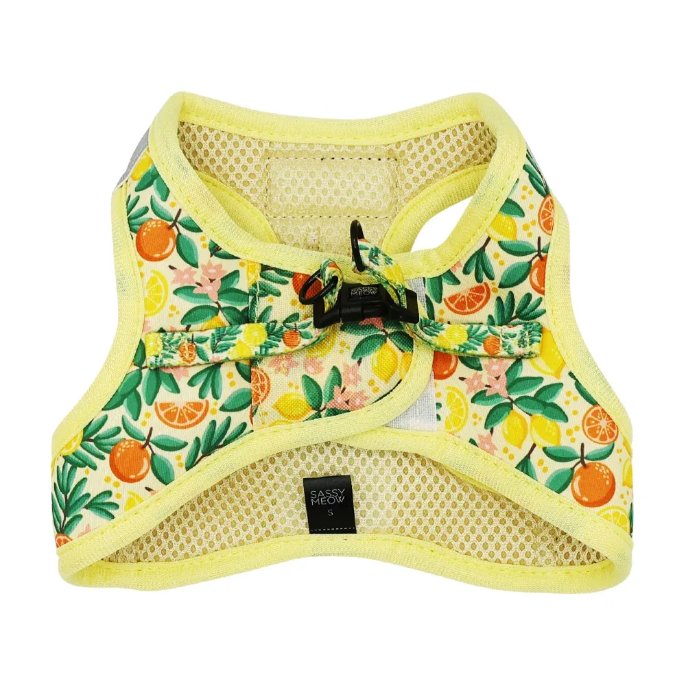 Cat Step-In Harness - Zest Friends - Image 2