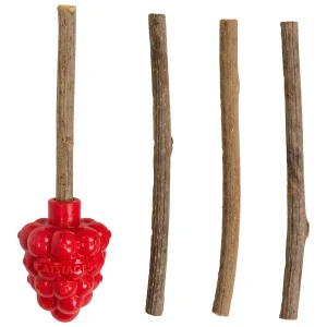 Catstages Dental Raspberry Teether with Silvervine Sticks Cat Toy