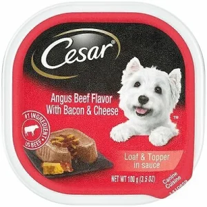 CESAR Angus Beef Flavor with Bacon and Cheese Loaf Wet Dog Food 24ea/3.5oz
