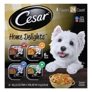 CESAR Filets in Gravy Prime Rib Flavor Wet Dog Food 24ea/3.5oz