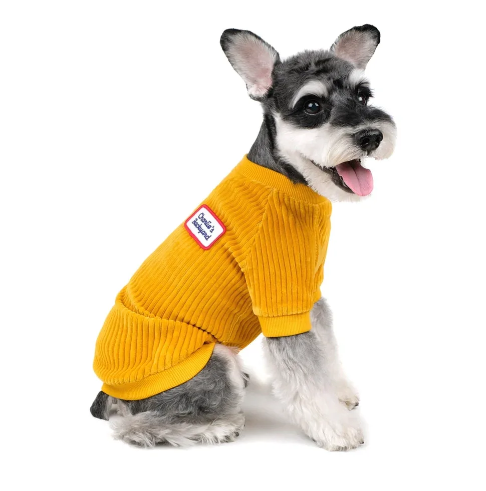 CHARLIE'S BACKYARD | Alley Pullover in Mustard