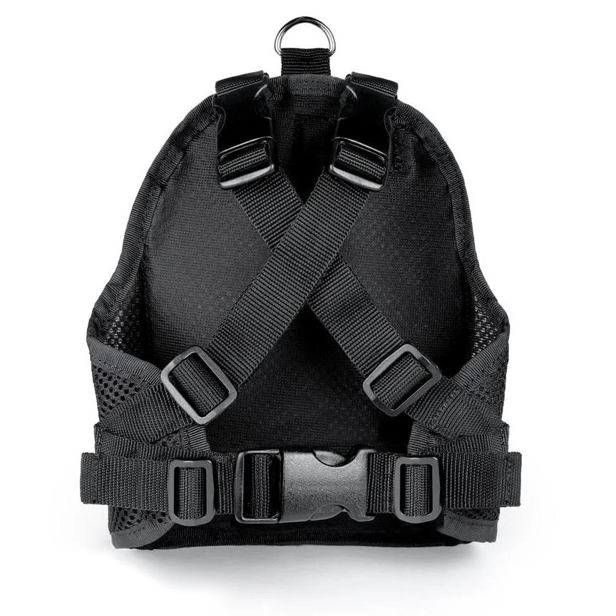 CHARLIE'S BACKYARD | Charlie's Bag Backpack in Royal Blue - Image 2