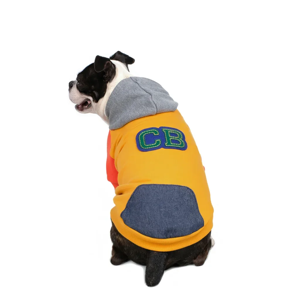 CHARLIE'S BACKYARD | Club Hoodie in Yellow - Image 2