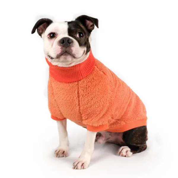 CHARLIE'S BACKYARD | Cozy Turtleneck in Orange