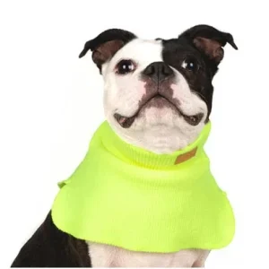 CHARLIE'S BACKYARD | Dickie Turtleneck Warmer in Neon Yellow