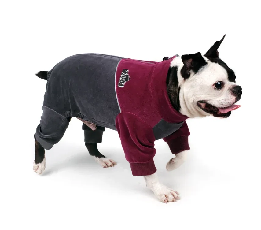 CHARLIE'S BACKYARD | Sierra Onesie in Gray