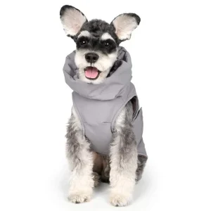 CHARLIE'S BACKYARD | Turtle Padding Jacket in Gray