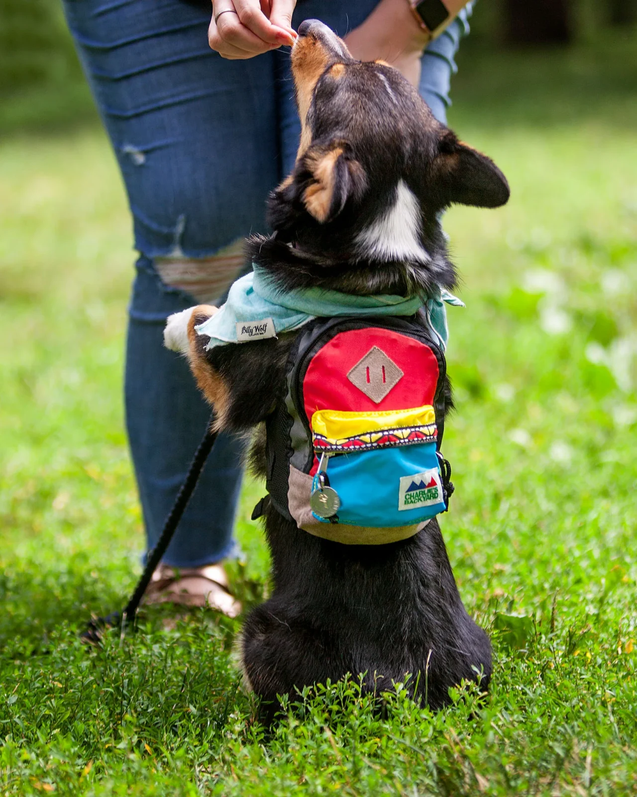 Charlie's Bag Backpack in Red - Image 2
