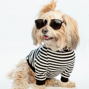 Cheeky Stripe Pullover in Black & White with Black Trim