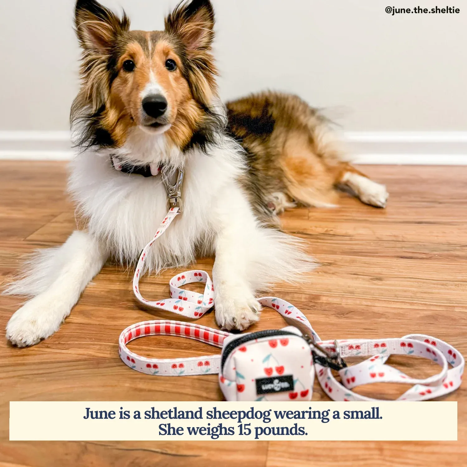 Cheery Cherries Leash - Image 2