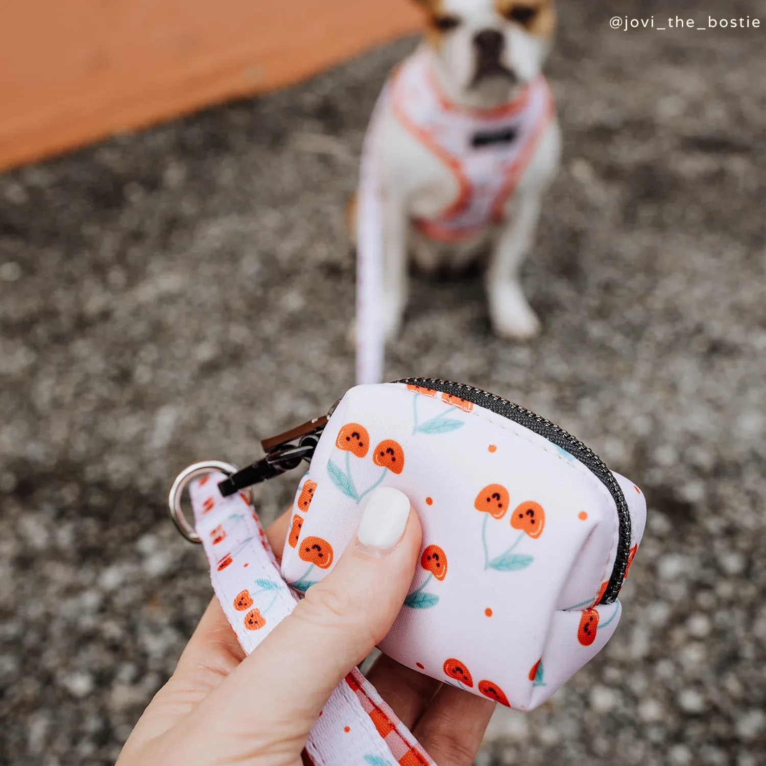 Cheery Cherries Poop Bag Holder - Image 2