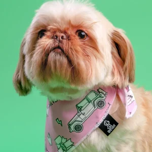 Chewless™ AS IF Dog Bandana (FINAL SALE)
