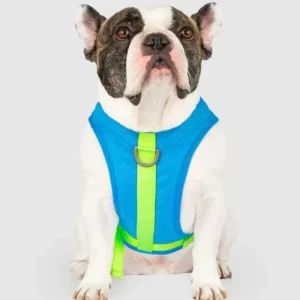 Chill Seeker Cooling Dog Harness in Blue and Green <>