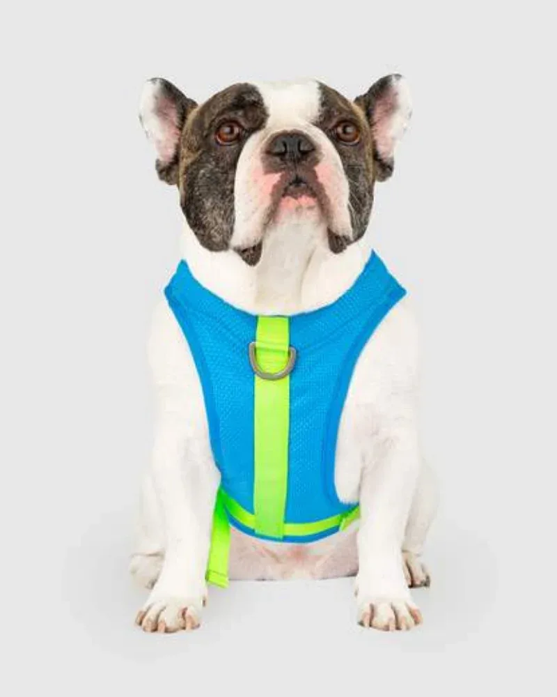 Chill Seeker Cooling Dog Harness in Blue and Green <>