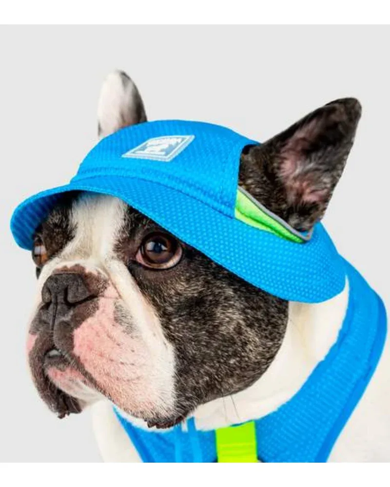 Chill Seeker Cooling Dog Hat <> - Image 2