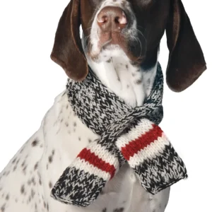 CHILLY DOG | Boyfriend Scarf