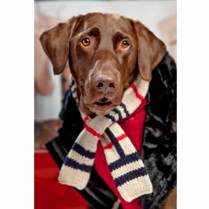 CHILLY DOG | Tan Plaid Scarf