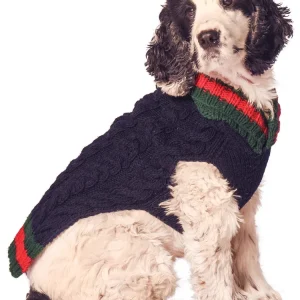 CHILLY DOG | Varsity Sweater