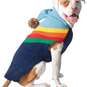 CHILLY DOG | Vintage Rainbow Hoodie