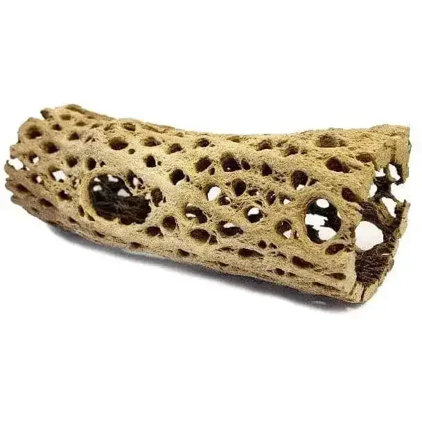 Cholla Cactus Wood for Reptiles: Enhance Your Pet's Habitat Naturally