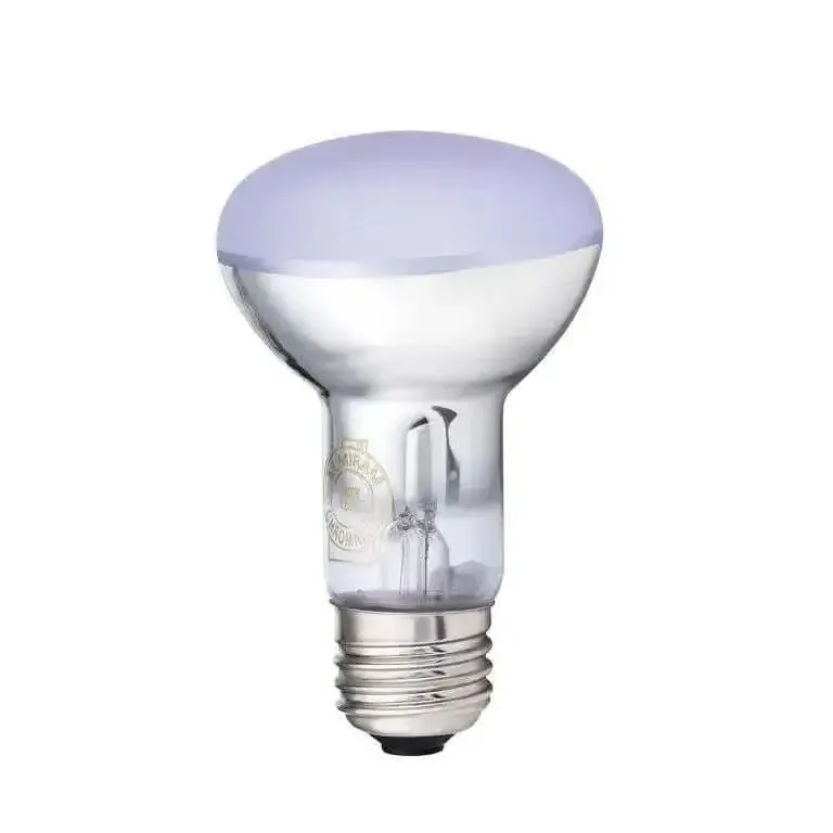 Chromalux® Full Spectrum R20 Frosted 60W