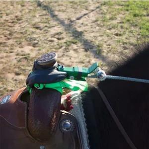 Chute Help Classic Easy Now Quick Release