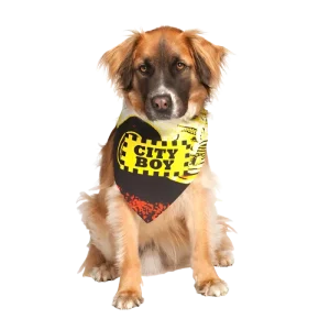 City Boy Dog Bandana by Dog Fashion Living