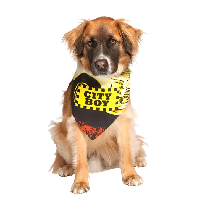 City Boy Dog Bandana by Dog Fashion Living