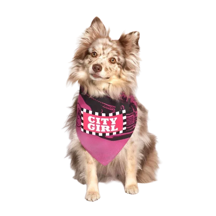 City Girl Dog Bandana by Dog Fashion Living - Image 2