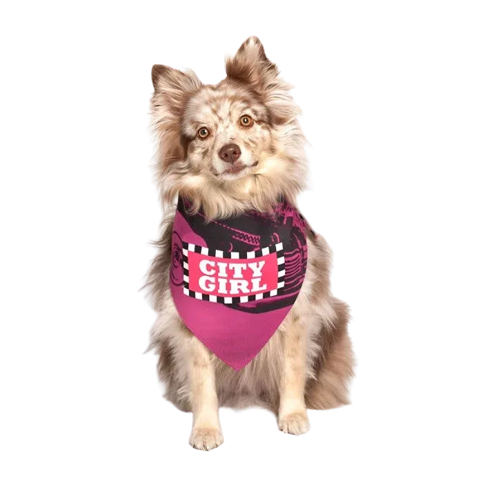 City Girl Dog Bandana by Dog Fashion Living