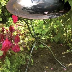 Classic Brass Birdbath