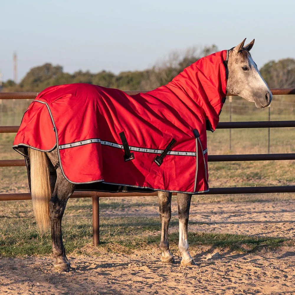 Classic Cardinal Red 5K Trainer Hooded Winter Blanket - Image 2