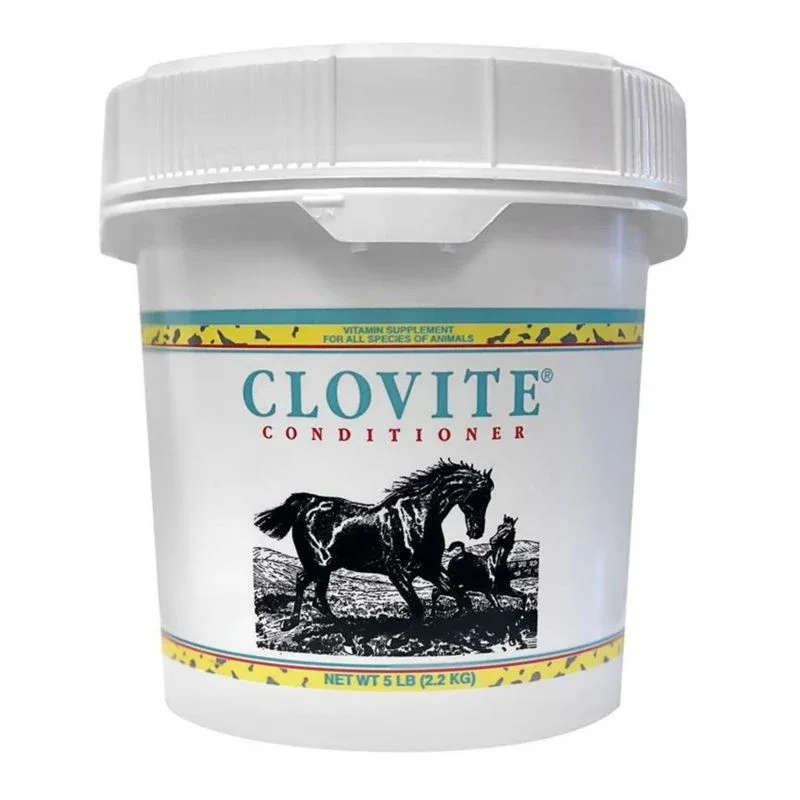 Clovite Conditioner - Image 2