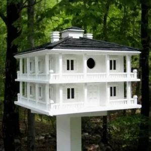 Club House Birdhouse