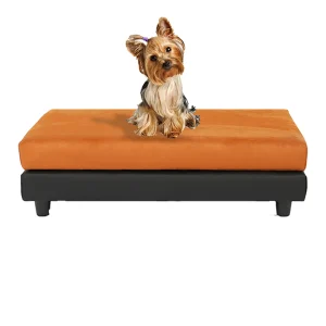 Club Nine Pets Snooze Collection Orthopedic Raised Dog Bed