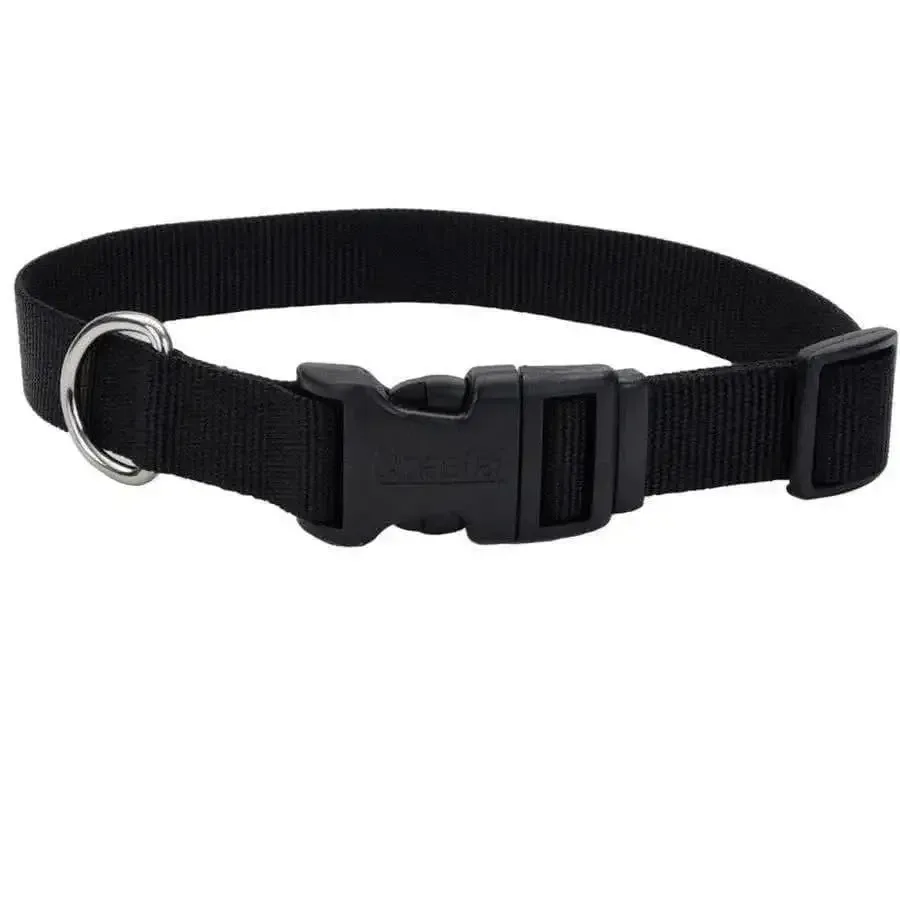 Coastal Adjustable Nylon Dog Collar with Plastic Buckle