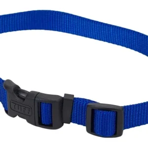 Coastal Adjustable Nylon Dog Collar with Plastic Buckle Blue 5/8 in x 10-14 in