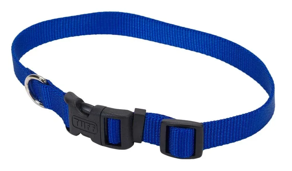 Coastal Adjustable Nylon Dog Collar with Plastic Buckle Blue 5/8 in x 10-14 in