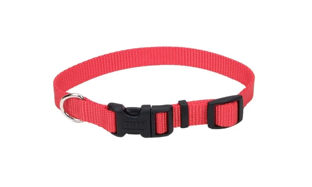 Coastal Adjustable Nylon Dog Collar with Plastic Buckle Red 1 in x 18-26 in