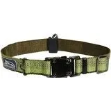 Coastal K9 Explorer 1 in Adj Dog Collar Fern Green (12-18 in)