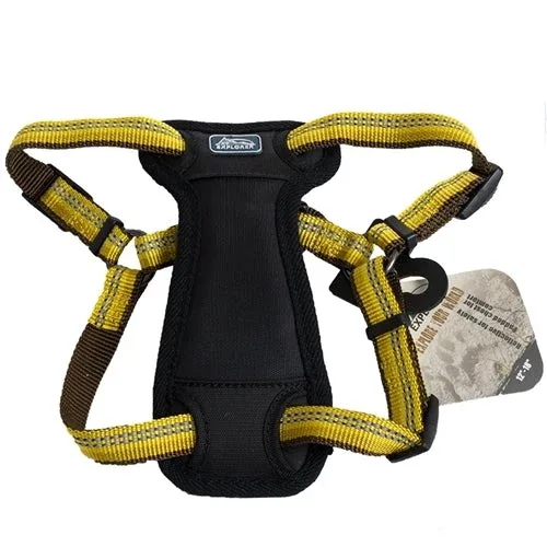 Coastal K9 Explorer 1 in Adj Dog Collar Goldenrod Yellow (18-26 in)