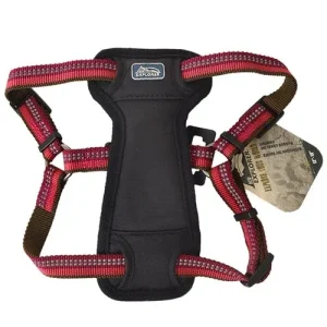 Coastal K9 Explorer 1 in Padded Dog Harness Berry Red (26-38 in)