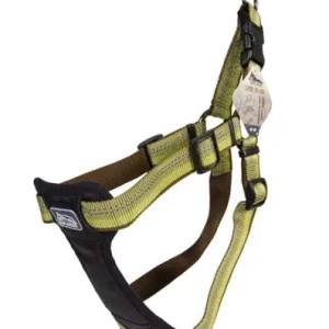 Coastal K9 Explorer 1 in Padded Dog Harness Fern Green (20-30 in)