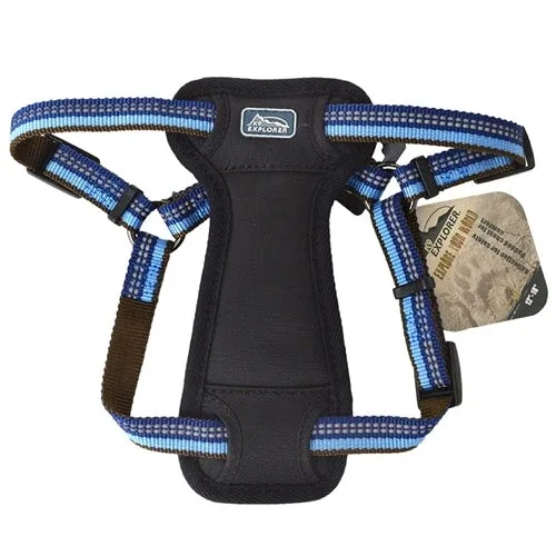 Coastal K9 Explorer, 1 in Padded Dog Harness Sapphire Blue (26-38 in)