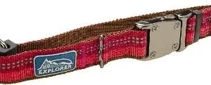 Coastal K9 Explorer 5/8 in Adj Dog Collar Berry Red (8-12 in)