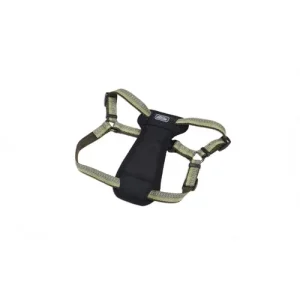 Coastal K9 Explorer 5/8 in Padded Dog Harness Fern Green (12-18 in)