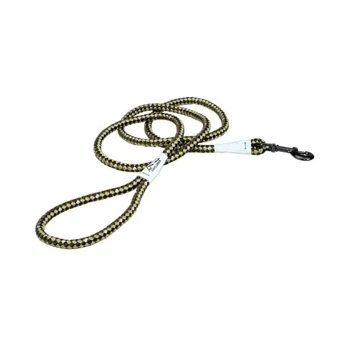 Coastal K9 Explorer 6 Rope Snap Dog Leash Fern Green