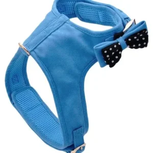 Coastal Pet Accent Microfiber Dog Harness Boho Blue with Polka Dot Bow