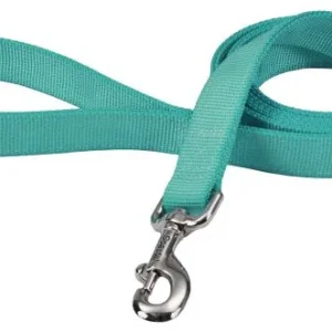 Coastal Pet Double-ply Nylon Dog Lead Teal