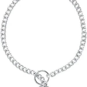 Coastal Pet Herm Sprenger Dog Chain Training Collar